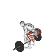 Barbell Deadlift demo