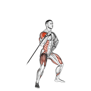 Barbell Overhead Press demo
