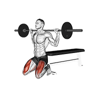 Barbell Squat demo